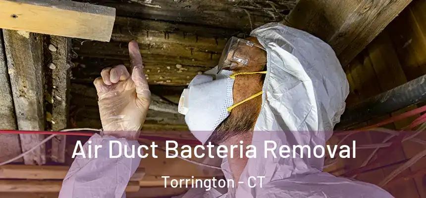  Air Duct Bacteria Removal Torrington - CT