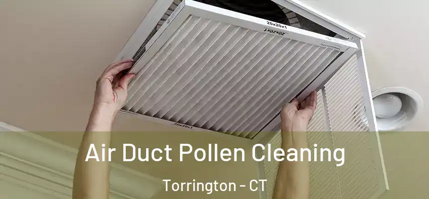 Air Duct Pollen Cleaning Torrington - CT
