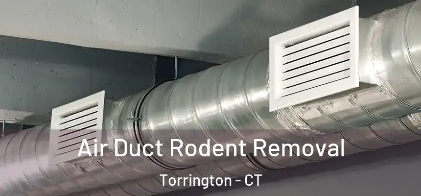 Air Duct Rodent Removal Torrington - CT