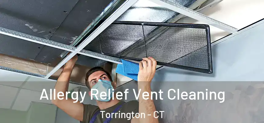  Allergy Relief Vent Cleaning Torrington - CT