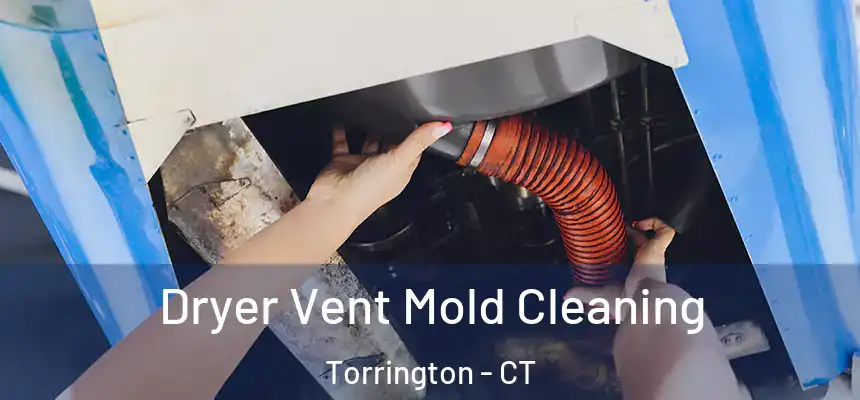  Dryer Vent Mold Cleaning Torrington - CT