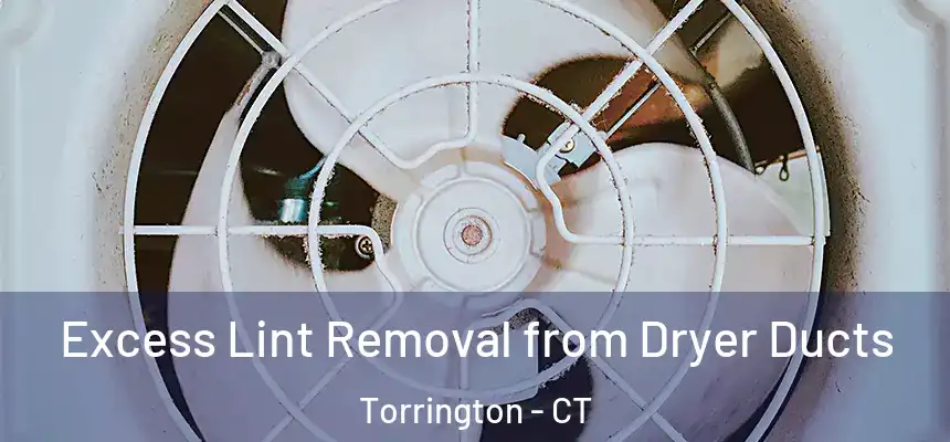  Excess Lint Removal from Dryer Ducts Torrington - CT