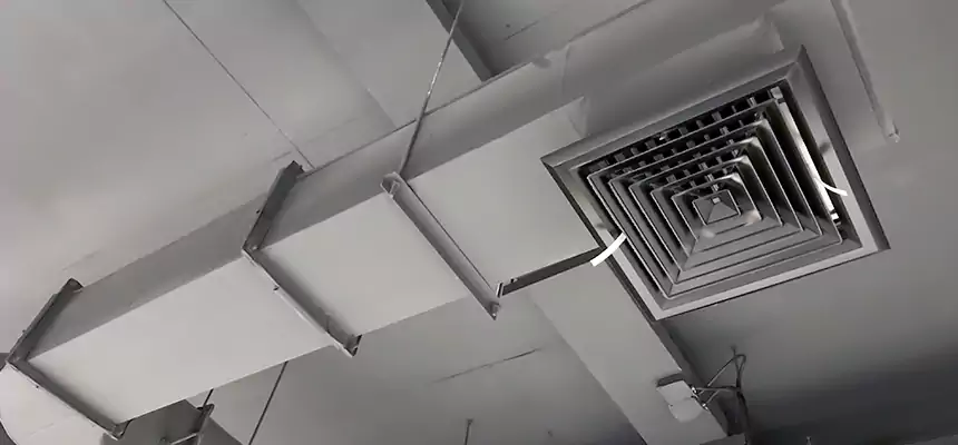 Our Pest Removal From Ducts Services in Torrington, CT