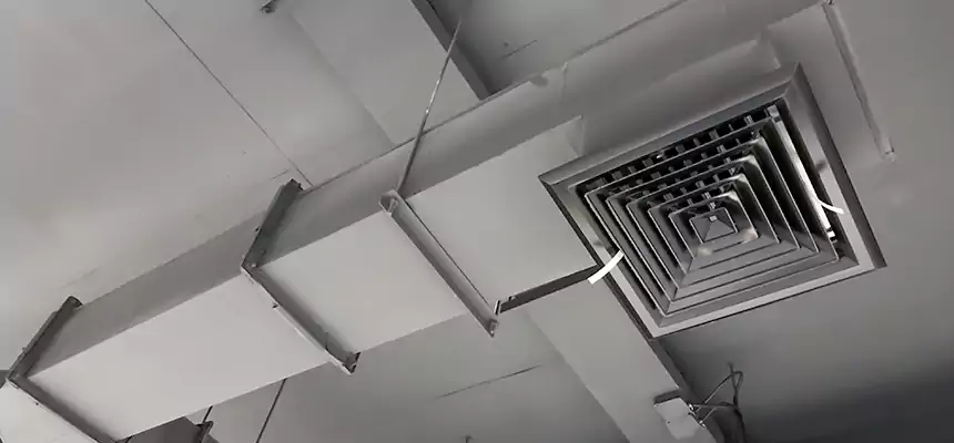 Our Rodent Droppings In Vents Services in Torrington, CT