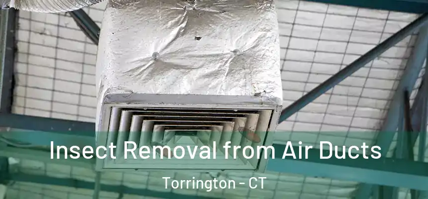  Insect Removal from Air Ducts Torrington - CT