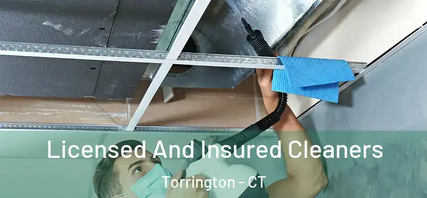 Licensed And Insured Cleaners Torrington - CT