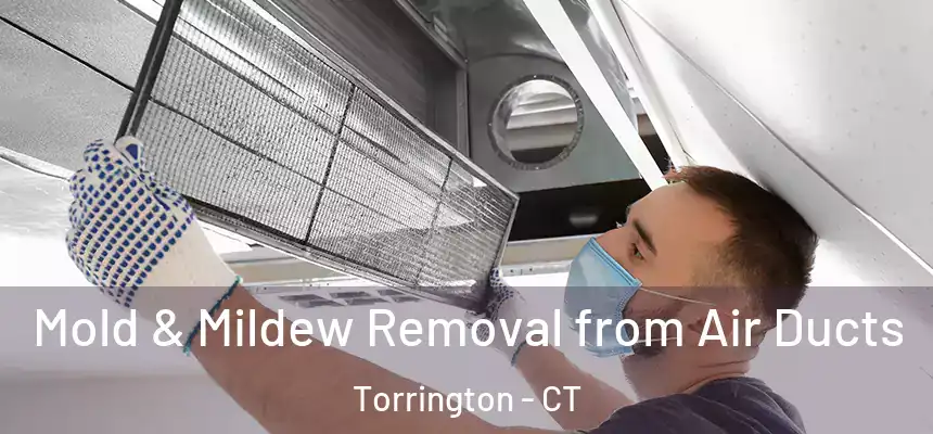 Mold & Mildew Removal from Air Ducts Torrington - CT