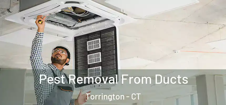 Pest Removal From Ducts Torrington - CT