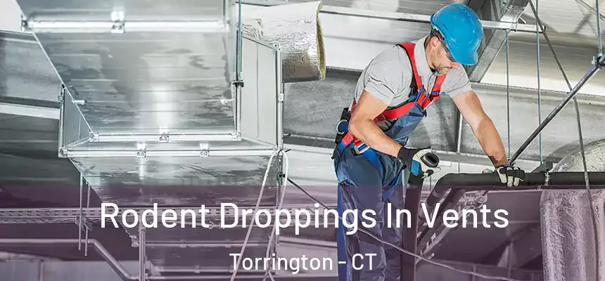  Rodent Droppings In Vents Torrington - CT