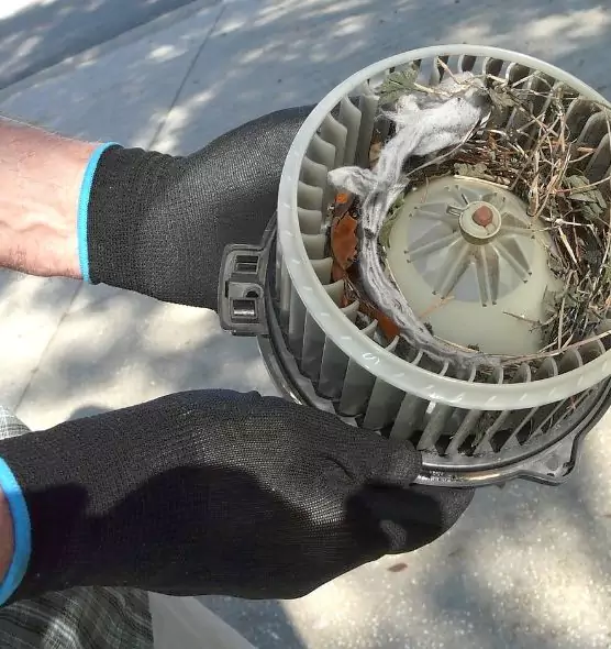 About Air Duct Rat Removal in Torrington, CT