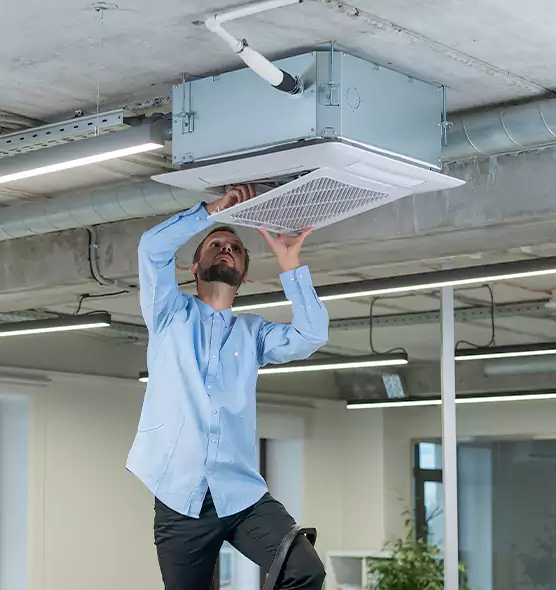 Advanced Rodent Droppings In Vents in Torrington, CT