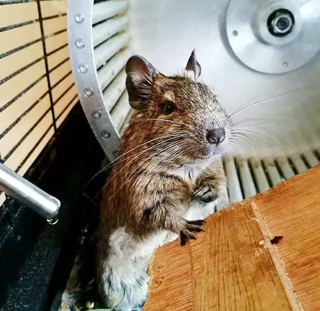 Why Homeowners & Businesses Trust Us Torrington, CT